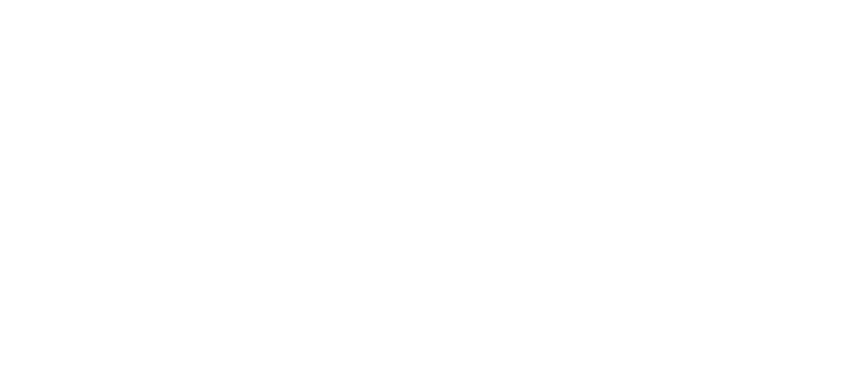 Coach Academy